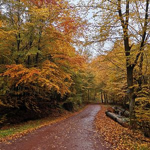 Der Herbst is schon was feines