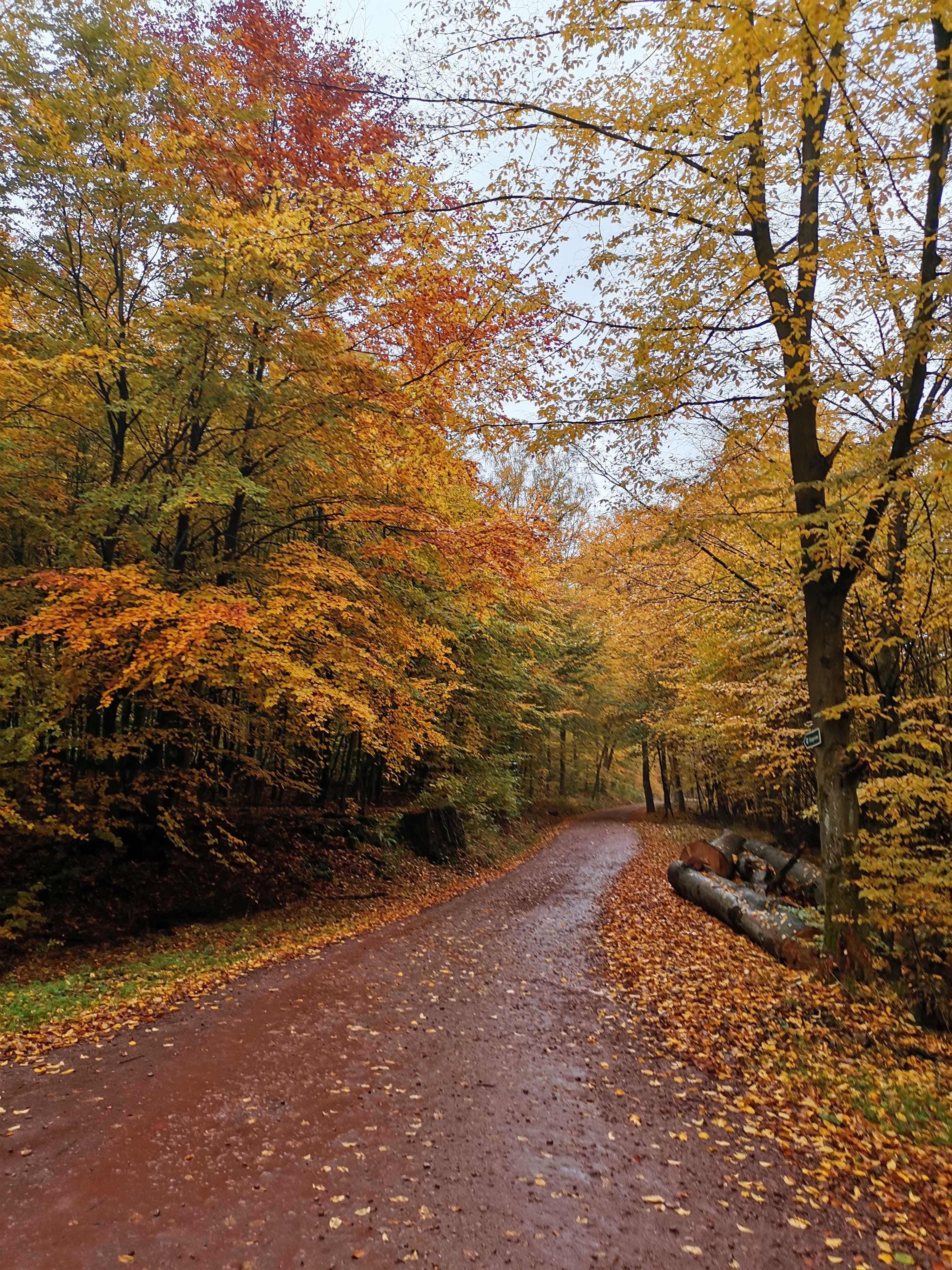 Der Herbst is schon was feines